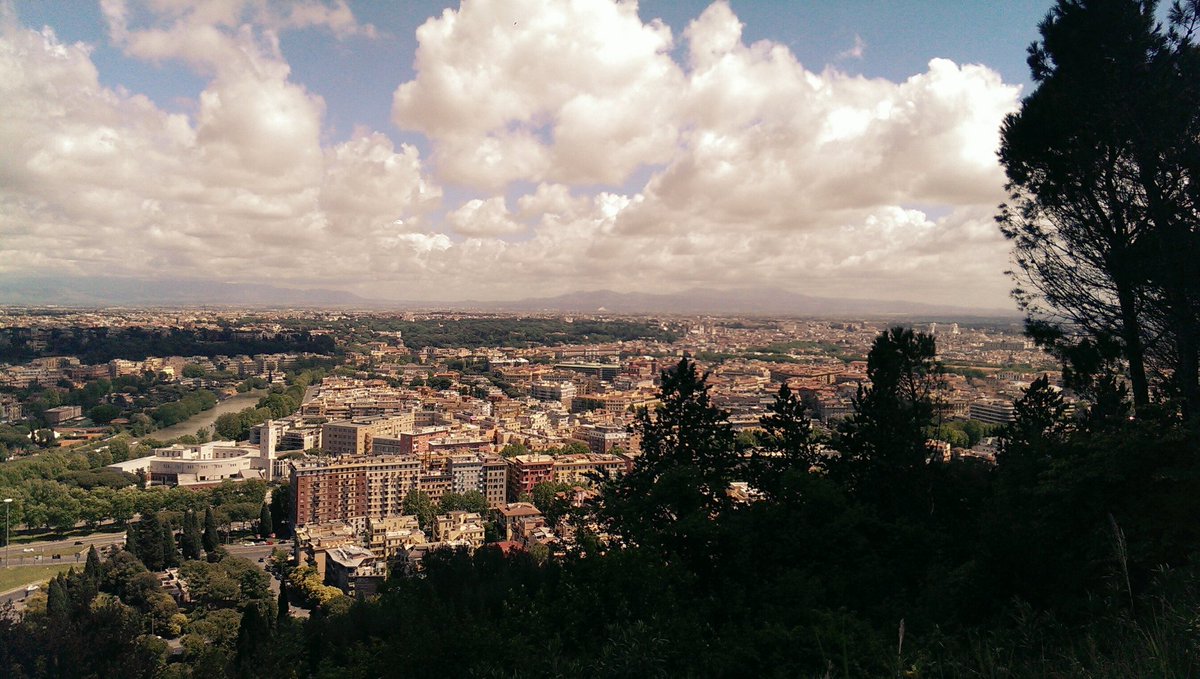 travelnewers tweet media