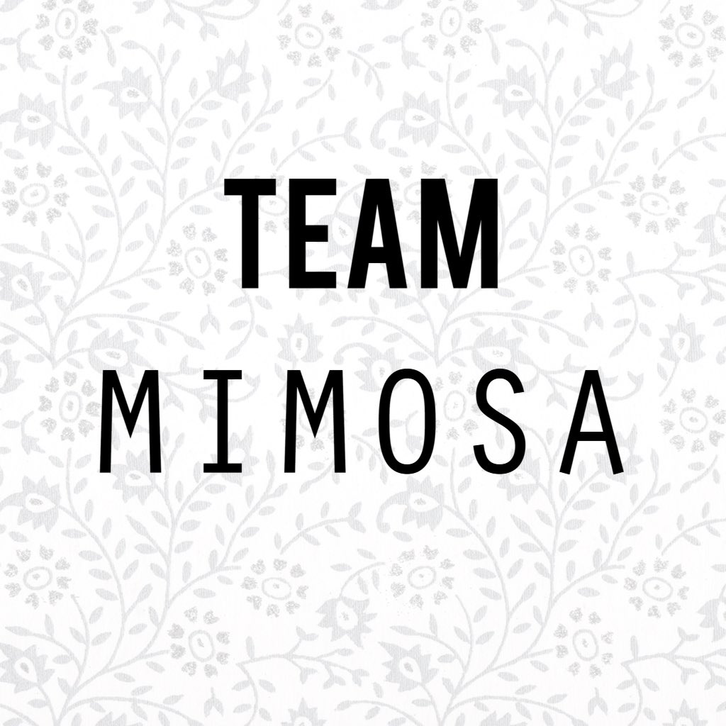Mimosa_Equine's tweet photo. #teamMimosa https://t.co/cMhO58WkN8