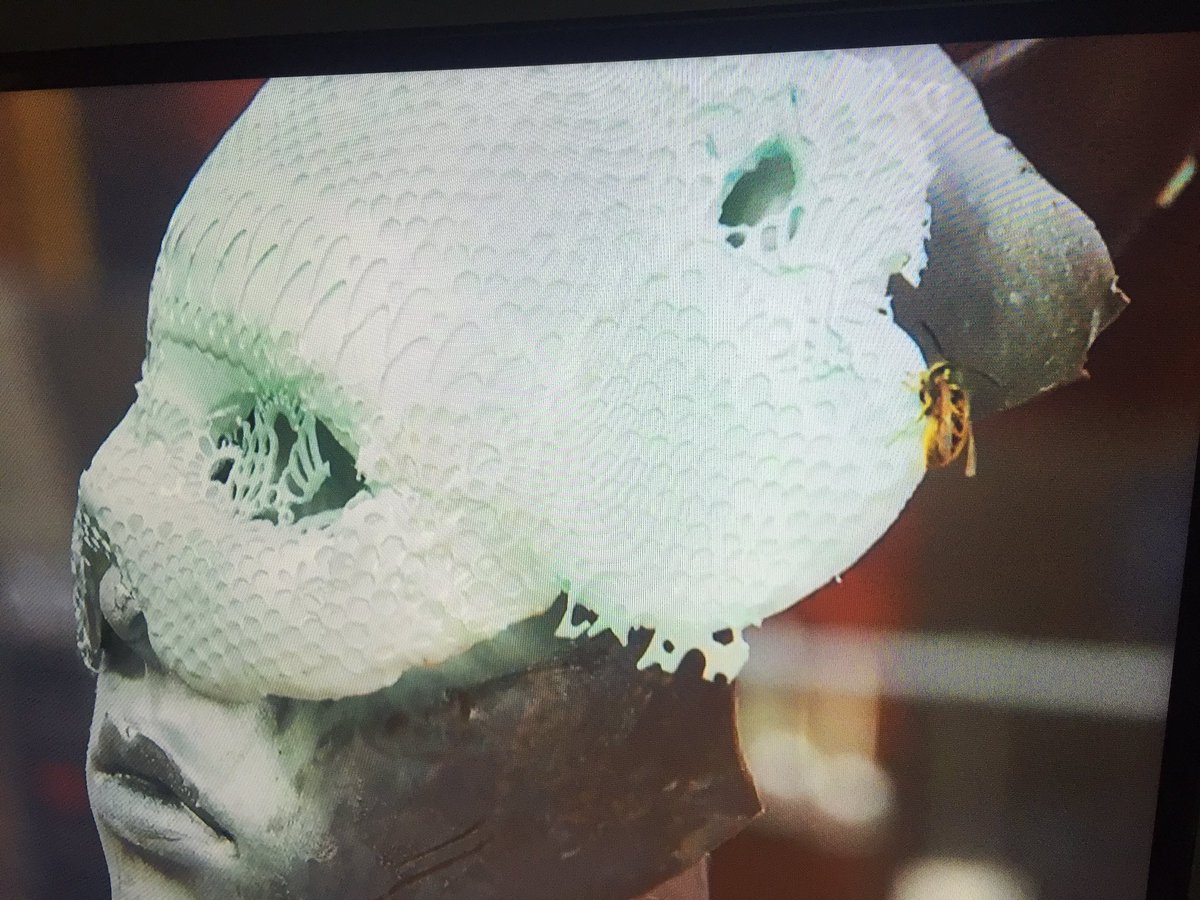 Was the wasp a part of the display?? 😷😷 #bakeoffcremedelacreme