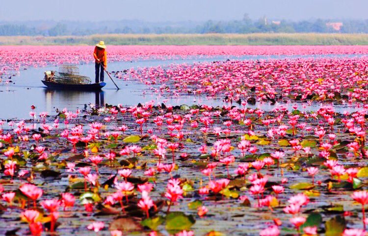 "كثيرهہ✒️
 هَي آمانينا  
فَـ ياربَ حققّ مآ ترآهُ خيراً لنآ
💕💕
💕💕
💕💕
#قروب_اماني_للدعم