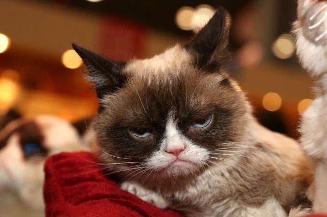 EnduringRetail's tweet image. When your time off request is approved a month in advance and you still end up on the schedule.