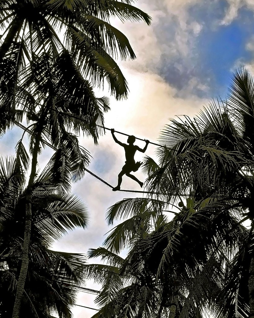 TourPackageSL's tweet photo. 30 Things to Do If You Ever Visit Sri Lanka
See Toddy Tapping &amp; Drink glass of raa(alcoholic beverage from coconut. https://t.co/UgOPJVp1gk