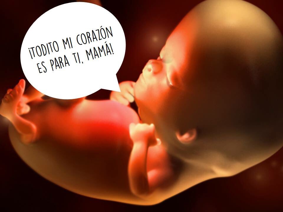 Y un poquito para mí papi 😃😃😃 sentir q vives dentro de mí es la mejor sensación que existe #mitavitojose @TavoRuta4