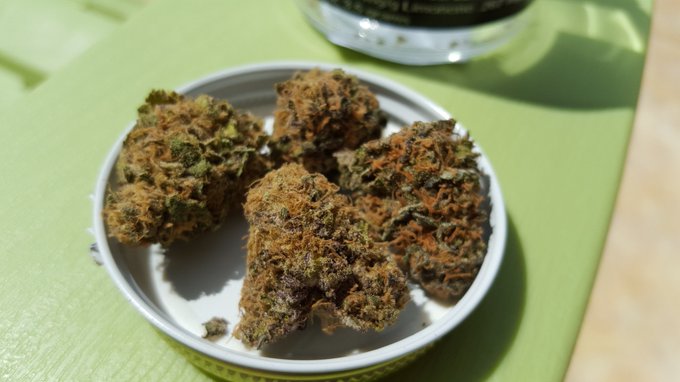 Nevada Weed! This stuff is actually good. Expensive here tho https://t.co/WgAbkoJXGp