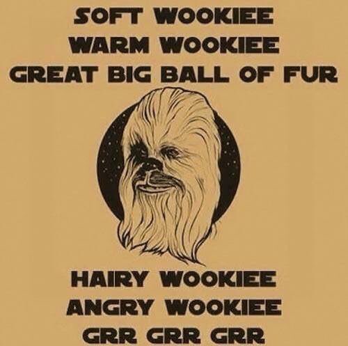 xrayladyj74's tweet photo. @Foss_Sports #StarWarsDay #SheldonStyle https://t.co/rxVyW2CFLC
