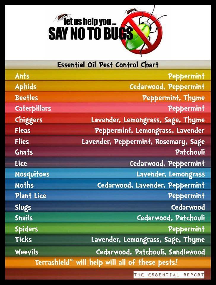 Essential Oils Pest Control Chart