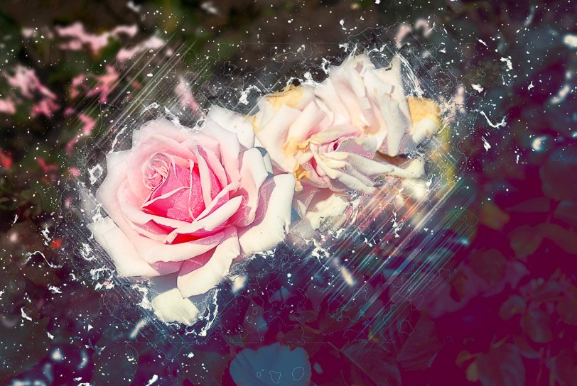 Davatron10's tweet photo. Who likes pink flowers? https://t.co/A6EuPmB1HS