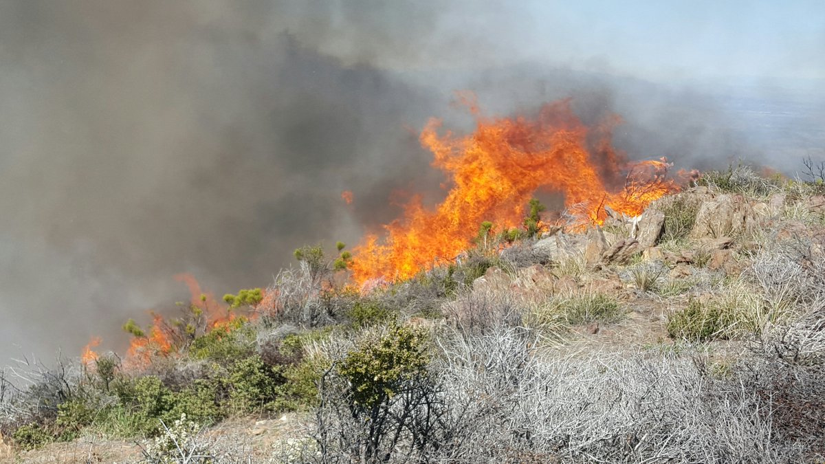 ClevelandNF's tweet photo. #wildfireawarenessweek How prepared are you for the active fire season ahead? https://t.co/Eu21ALbquF https://t.co/FTN53NMDrm