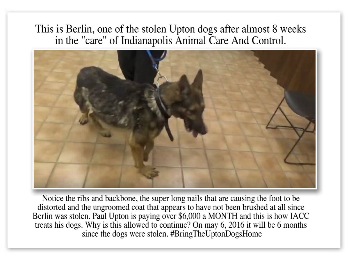 irisatsea's tweet photo. Maybe @epeakindi can find some answers @CrisNatali2 @trebon1038 @Jagdteckel @wolfie722 #WhyindyWhy #StandWithUpton https://t.co/mRL2oEAceE