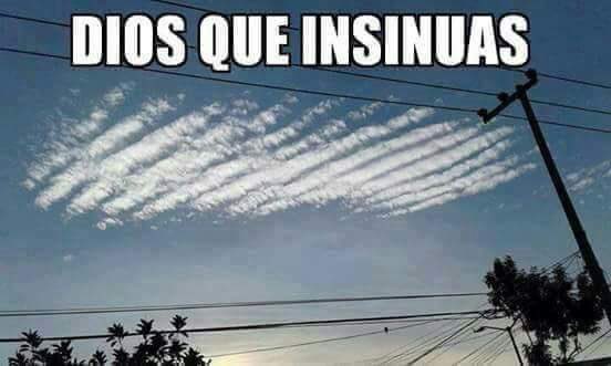 Cabronazi tweet media