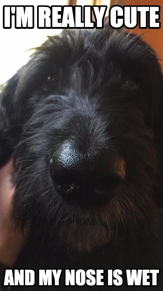 Gabriel Bryan tweet media