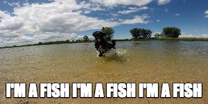 Gabriel Bryan tweet media