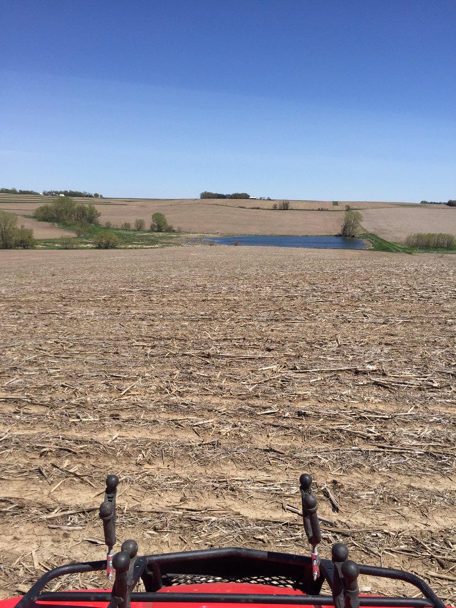 6_austen's tweet photo. It sucks to plant but isn't bad to look at. #plant16 still #wait16 for today at least. https://t.co/KUojgVSZvl
