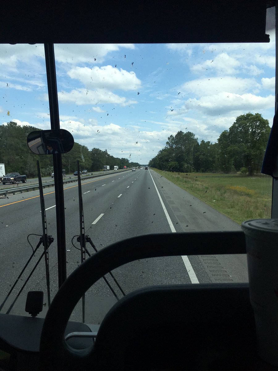 just_an_abby_'s tweet photo. Today has been the day I've experienced the most deaths in my life. May you rest in pieces little bugs.. #KillerBus https://t.co/LaUAI31Y5U