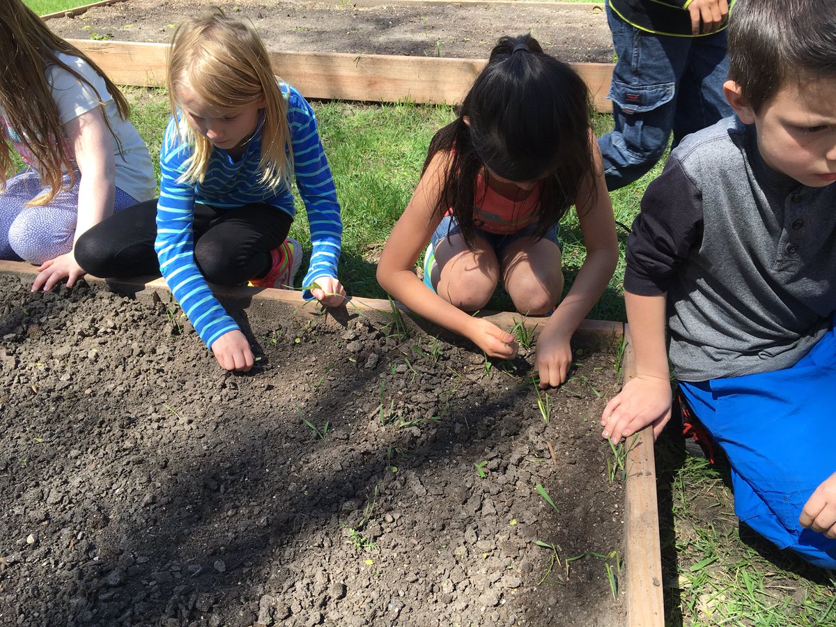 Karen Zwolenski tweet media