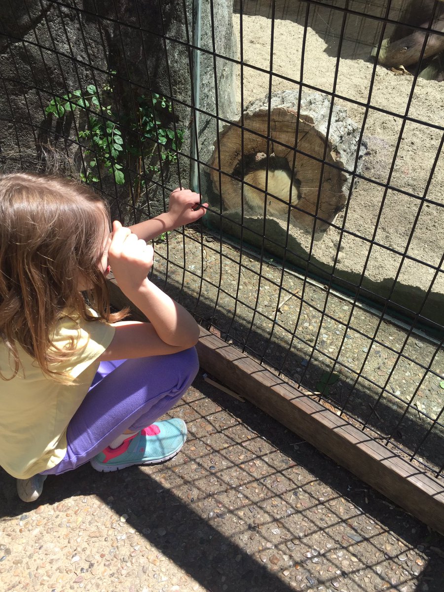 MsAdriance's tweet photo. Today was SO MUCH FUN! #kansascityzoo #apachesoars https://t.co/R8fwLnMFsR