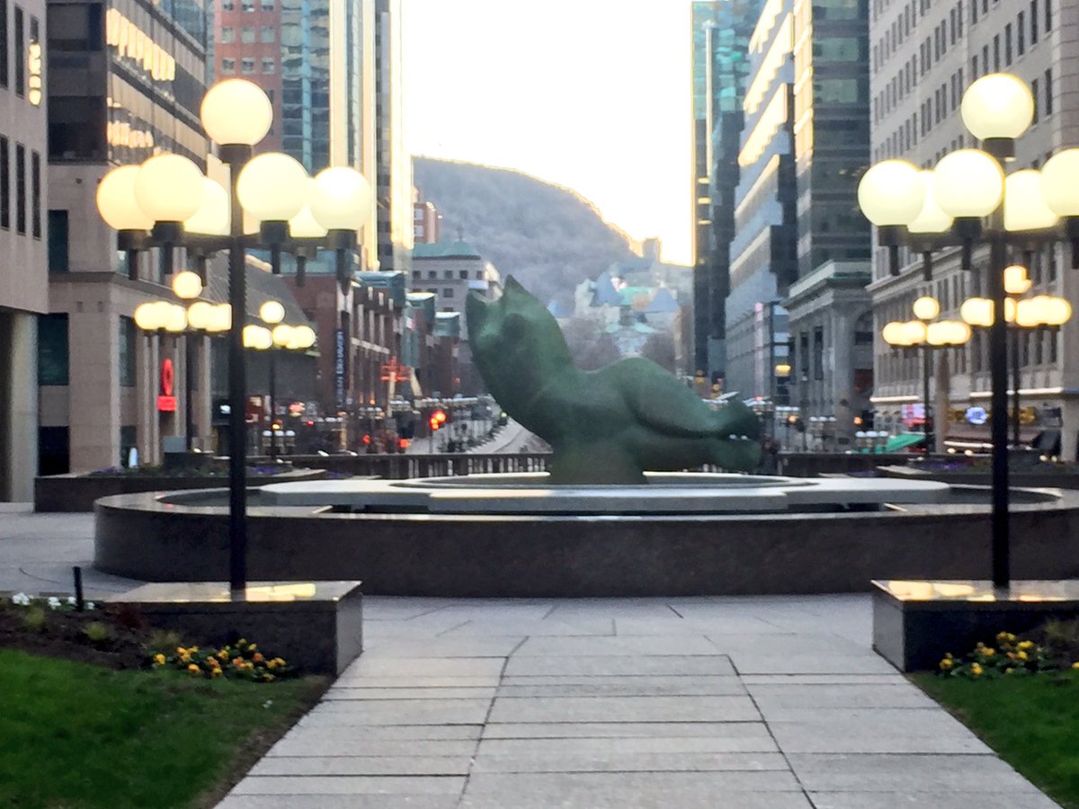 Jesse Plessis tweet media