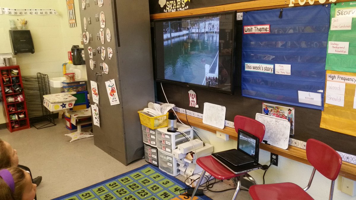 Finest1stGrade's tweet photo. @SkypeClassroom @TurtleHospital thanks for the lesson! #NHSTigerPride https://t.co/O9Yv8a5zvV