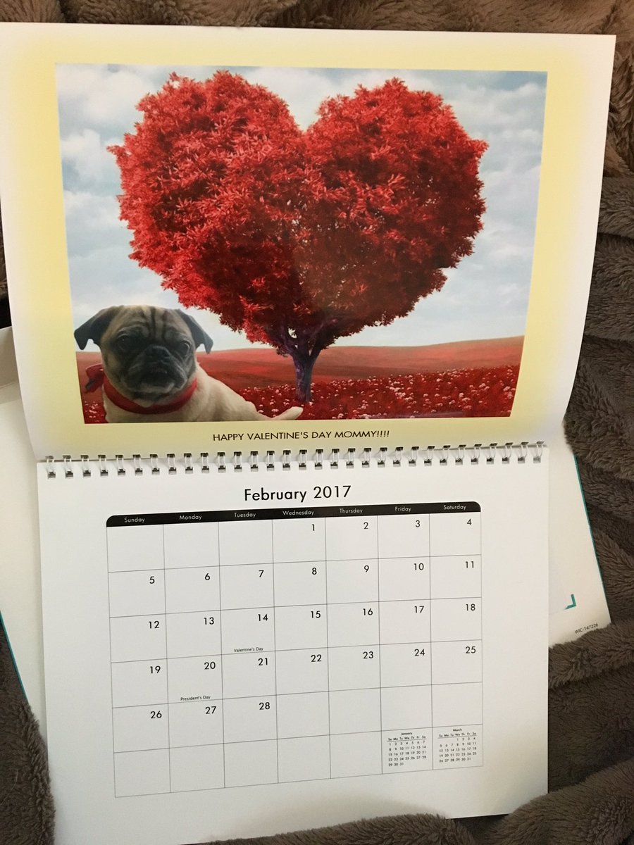 torihart_19's tweet photo. My mom is obsessed with my dog and I've made the best gift she will ever receive in her life, for Mother's Day https://t.co/pmIXiFNYFD