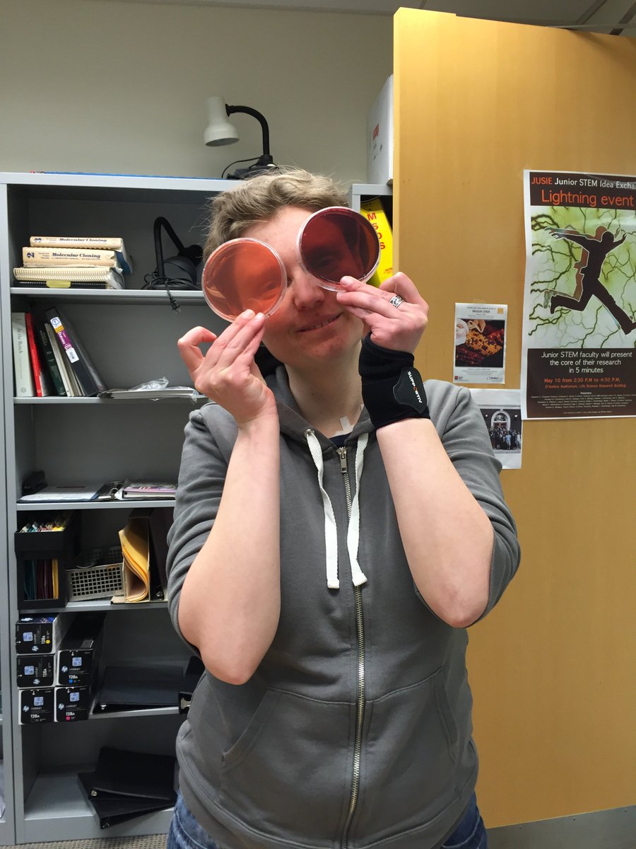 belfort_lab's tweet photo. Do you like Olga's new rose-tinted glasses? #agarplates #growingecoli #humpday #macconkey https://t.co/PIitbbVThv