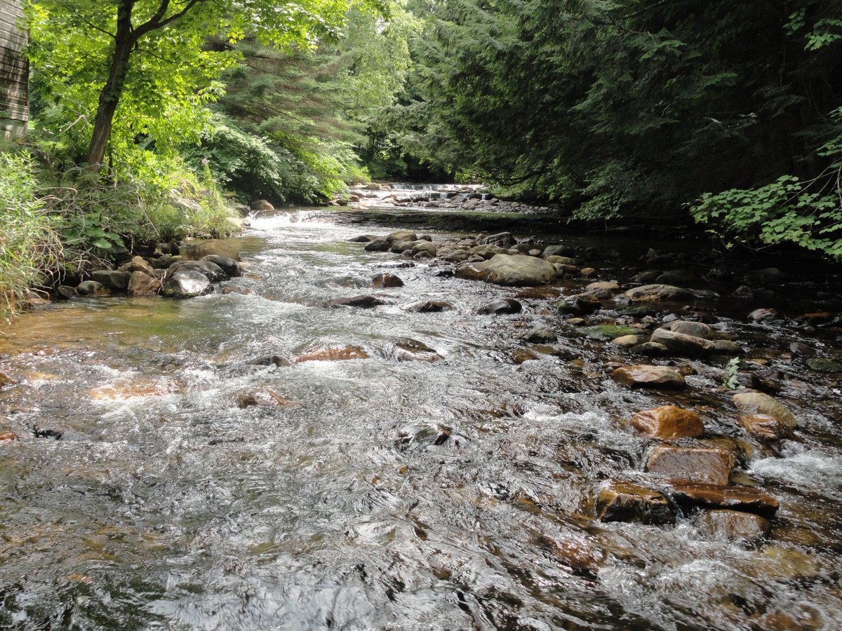 almalynnhelsel's tweet photo. Nice fishing spot for dad
https://t.co/yiGn5gWugu #alexpals #fathersday #Battenkillriver #streams https://t.co/kgMPHVZqFu