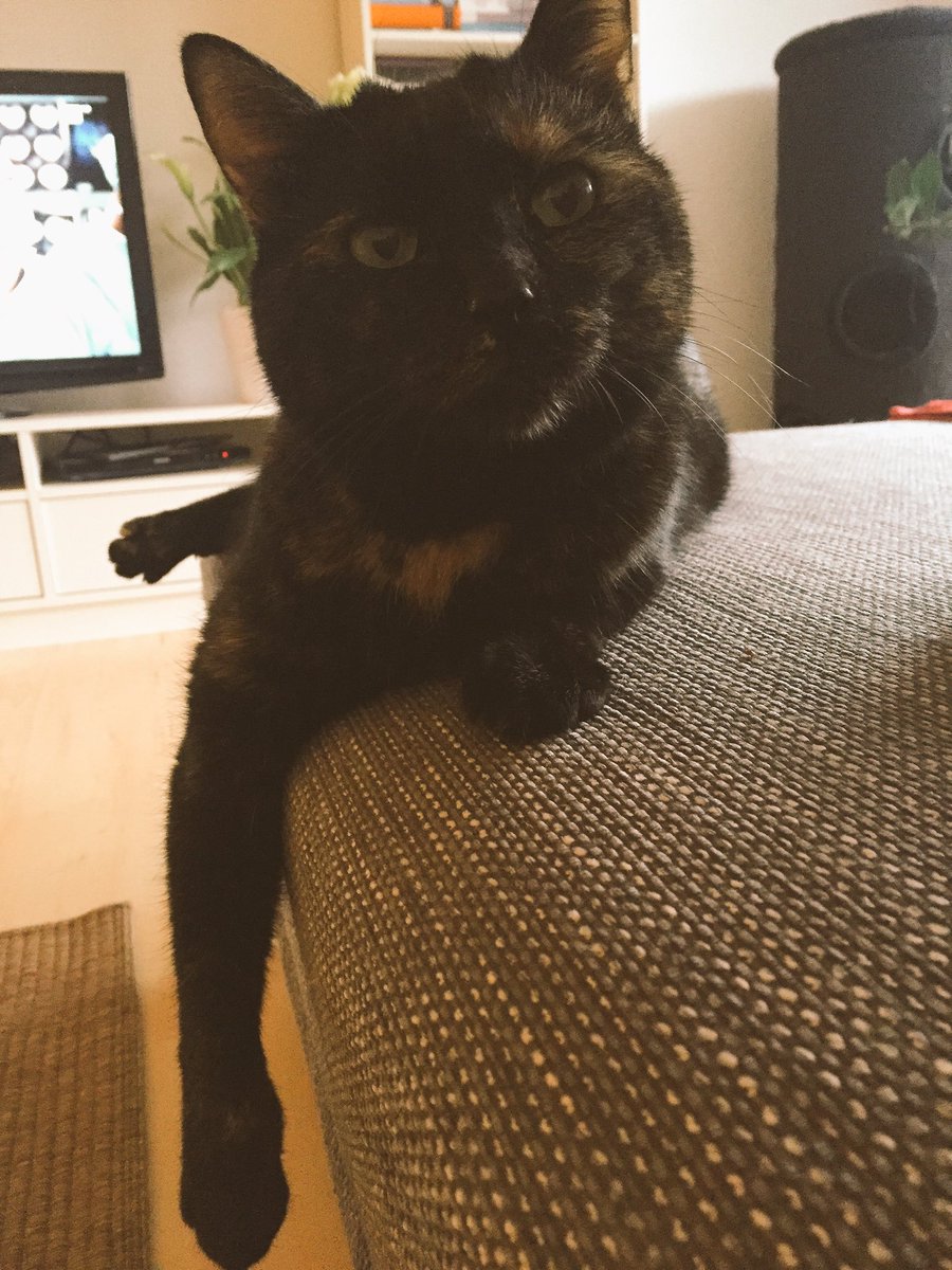 Ich häng mal ne Runde ab...