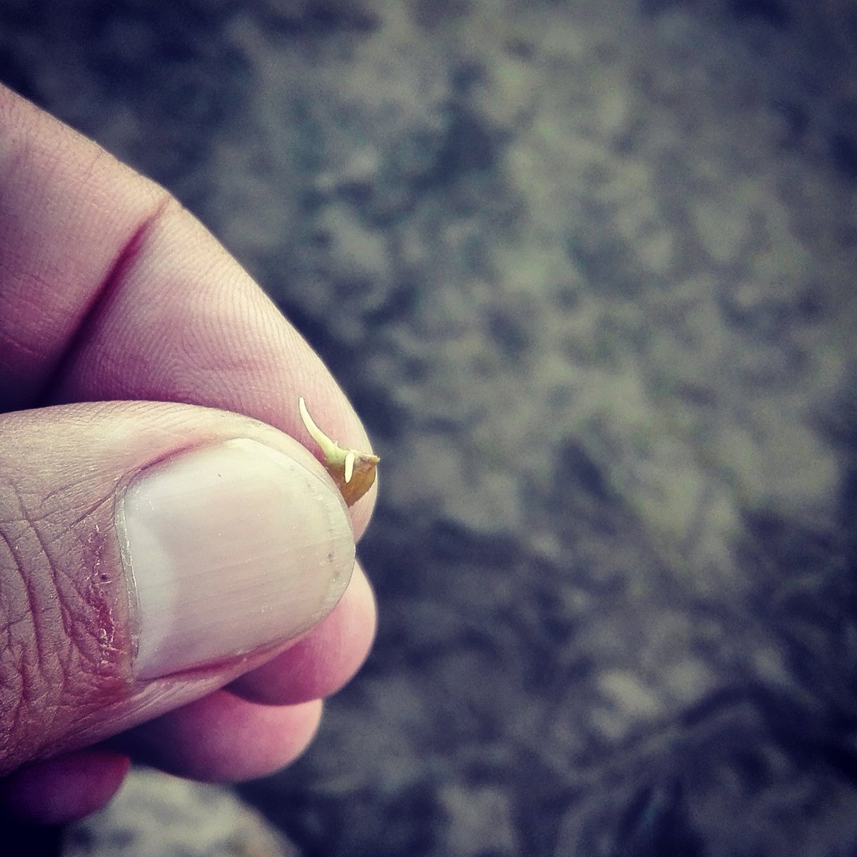 Danideldelta tweet media