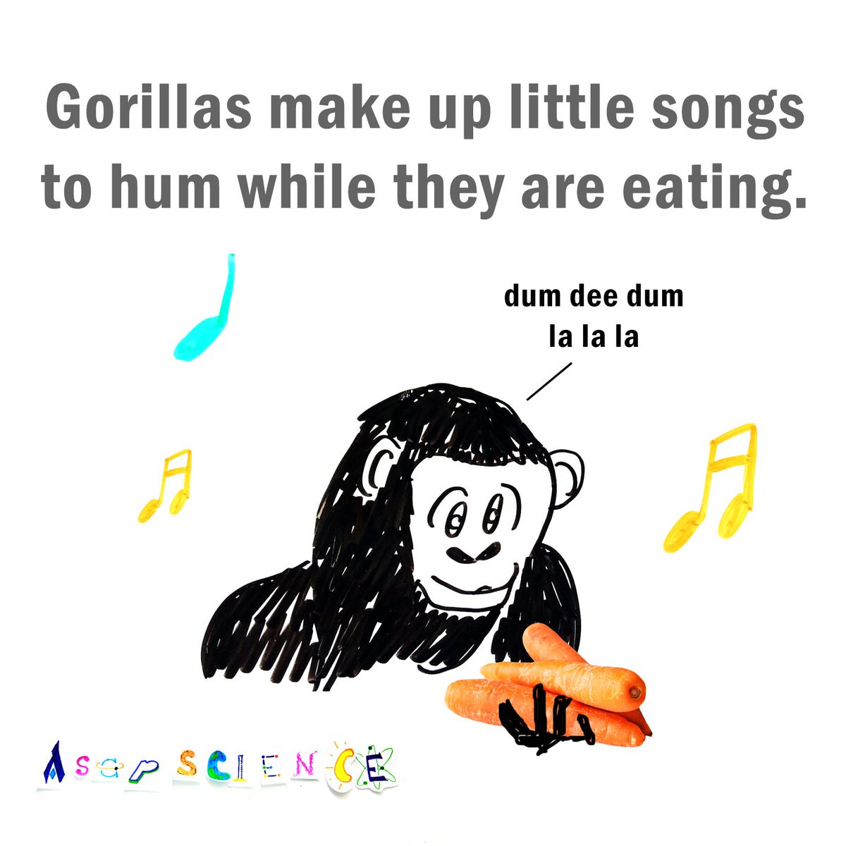 asapscience on twitter gorillas make up little songs to hum while