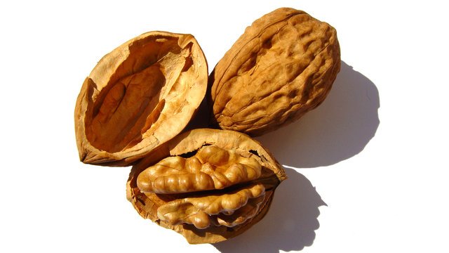 грецкий орех плод костянка. грецкий орех плод. орех (плод). орех (juglans). плод орех.