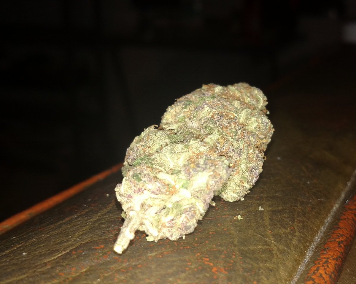 Daily_Treez's tweet photo. Smoking that Purple Rain #RIPPrince #420 #StonerRock #weednation #marijuana #smokers #dank #thc #strains #kush https://t.co/XHKwrDWAlF