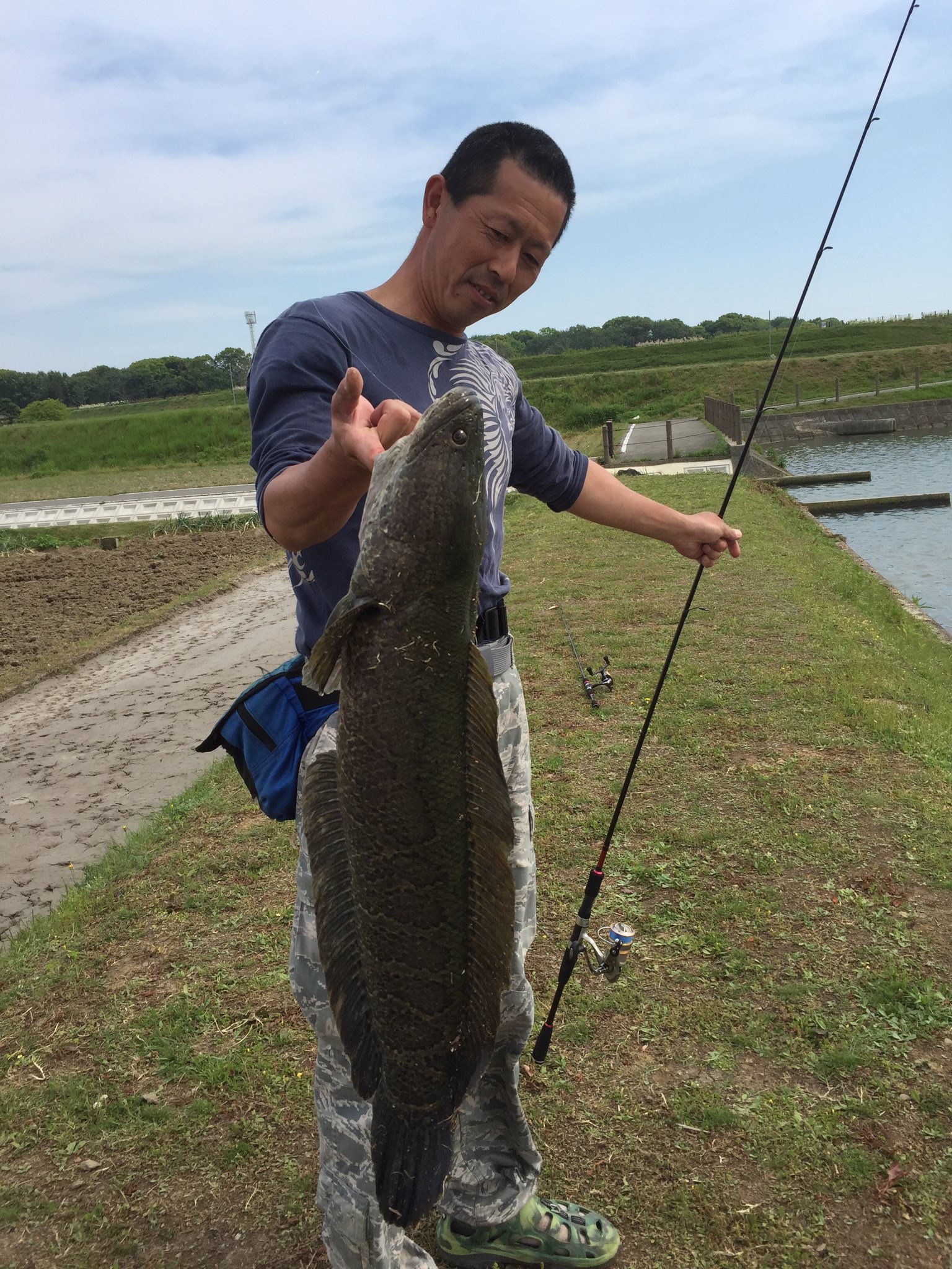 神楽屋 息子と2人で 魚釣り 鯉 雷魚 通常 雷魚釣りはウィードの中での釣りが主流だが オープンウォーターでの雷魚釣り は 純粋に雷魚の引きを味わえて ライトタックルでのトライも出来るので あえてガチガチのタックルは必要無い T Co