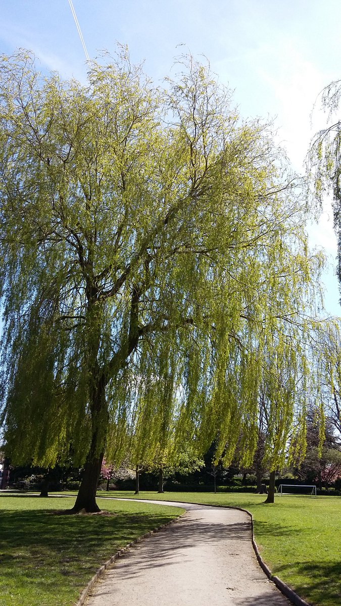 GrowingOutside tweet picture