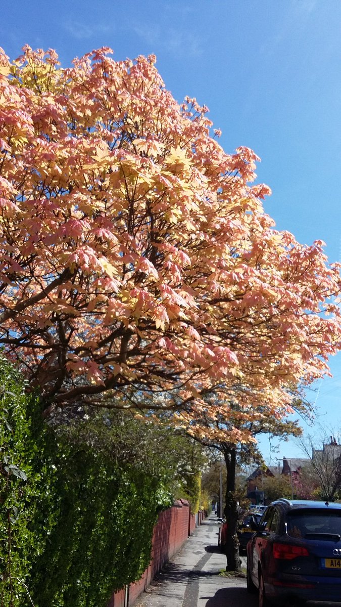 GrowingOutside tweet picture