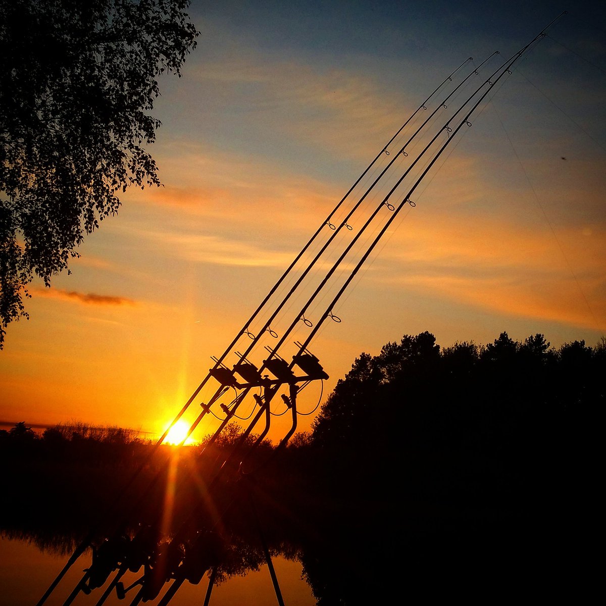 carptrapTV's tweet photo. 5 Days at the Bank ...fishing on the limit...weapons are loaded ...i hope i'll get some monster... tight lines 🎣🎈🐳 https://t.co/MEZ2Lo43cV