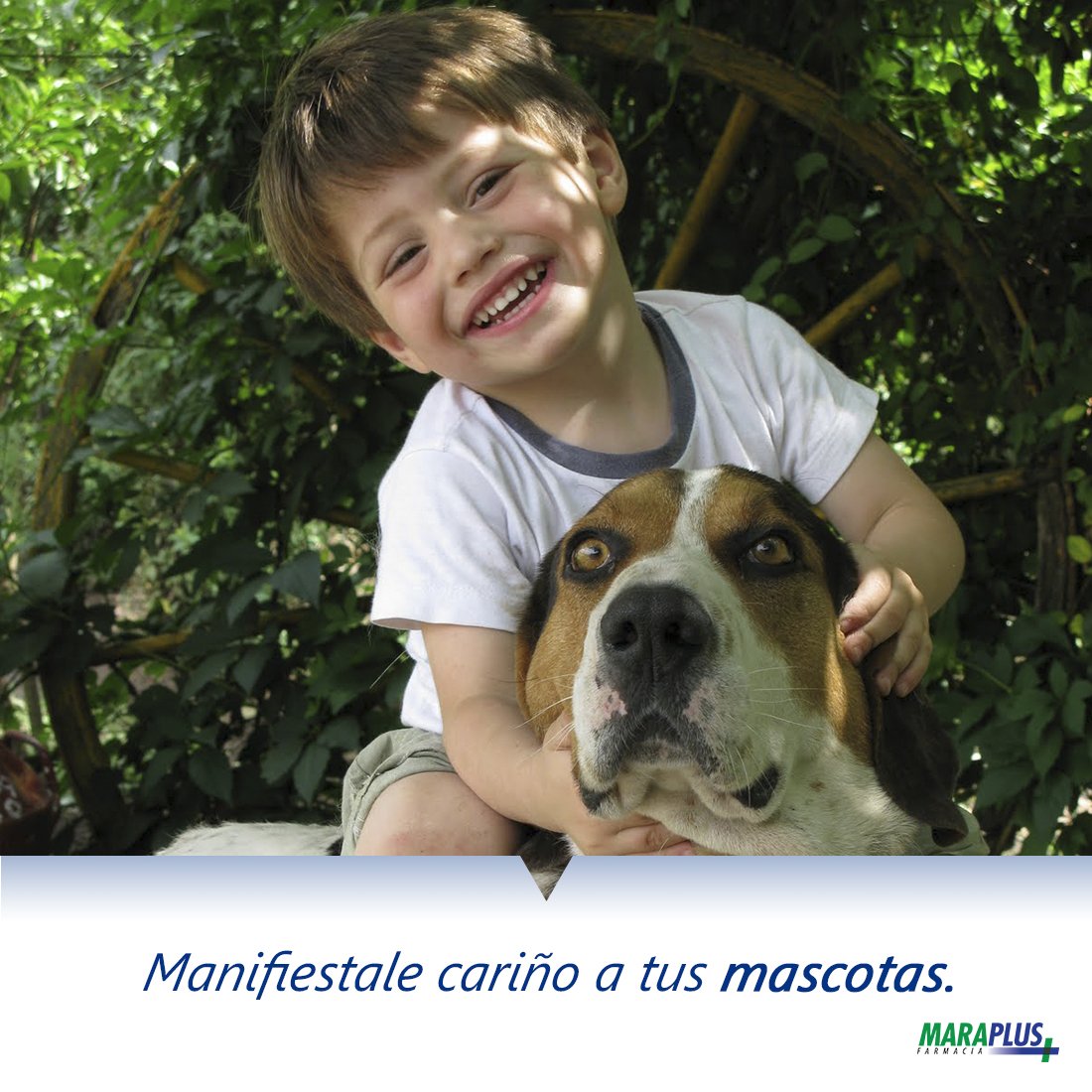 SomosMaraPlus's tweet photo. https://t.co/cYJxwdWy43