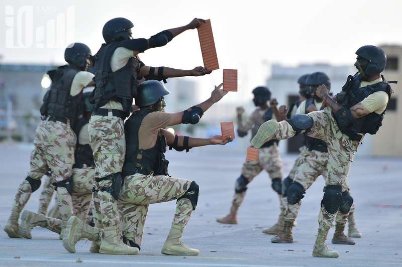 Armée Saoudienne / Armed Forces of Saudi Arabia - Page 22 ChpDC0HXEAAneLi