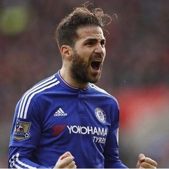 lloris_4's tweet photo. Tanti Auguri Campione! #4 @cesc4official https://t.co/56iAZrPn7s