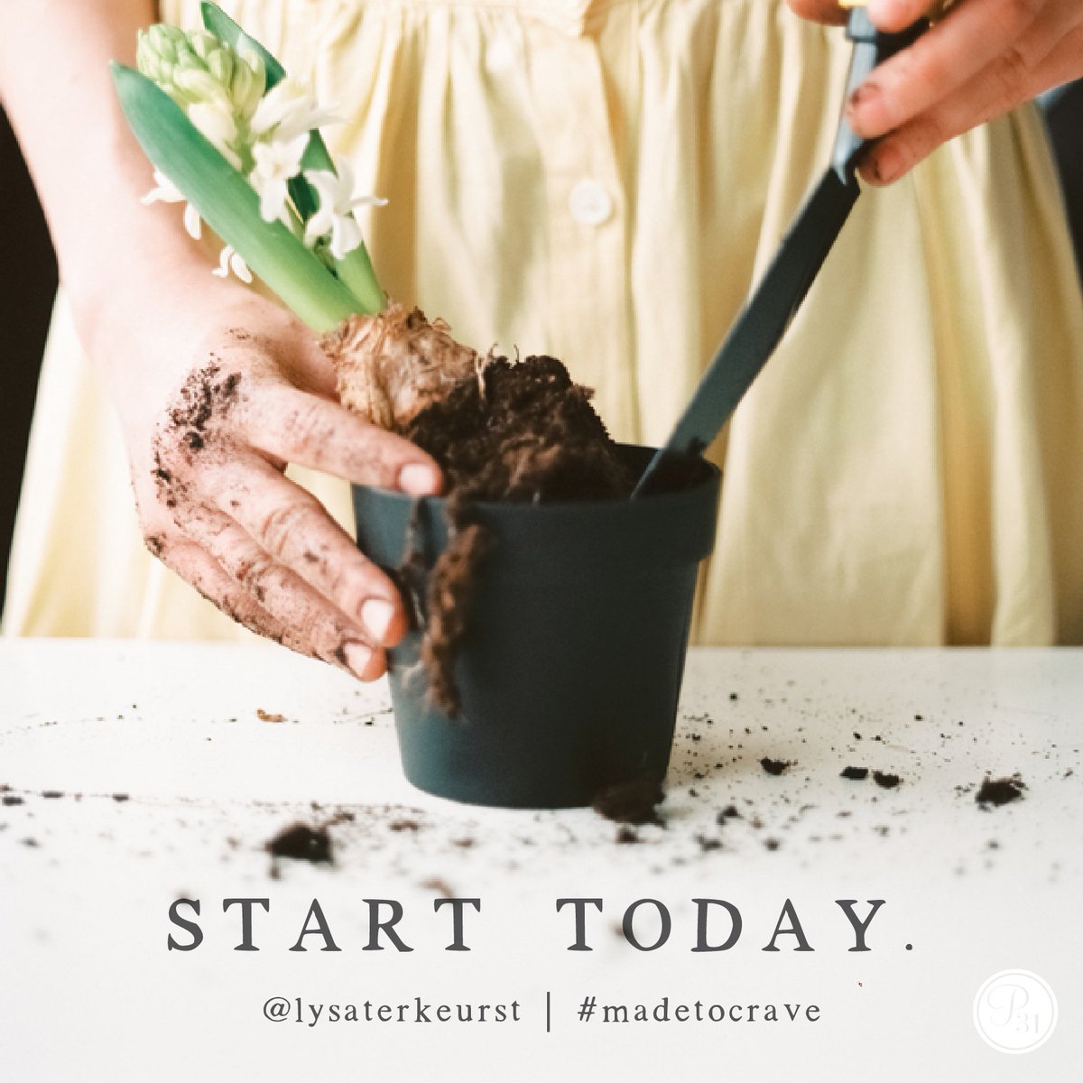 LysaTerKeurst's tweet photo. Start today, sweet friend. Because each small step of obedience you take today will make a big difference tomorrow. https://t.co/y43Q7w1xBQ