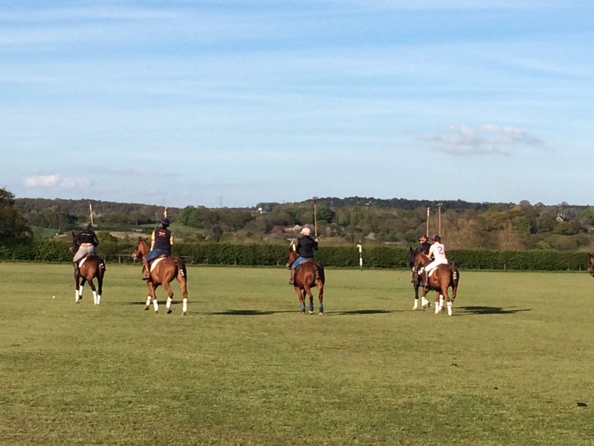 Ladies Chukkas was great this evening! Well done all those who take part. #ladypolo #chukkafun