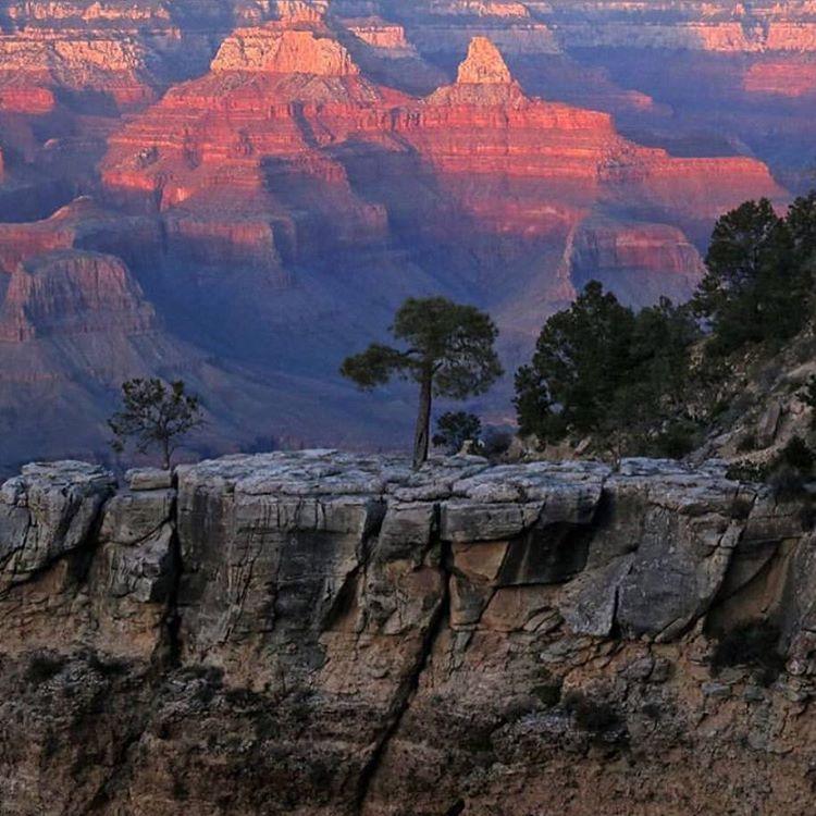 tentmentality's tweet photo. Spring taking hold of the Grand Canyon. Photo by @grandcanyonnps. Tent Life! #hiking #camping #trout #tentmentality https://t.co/FOn18QM80P