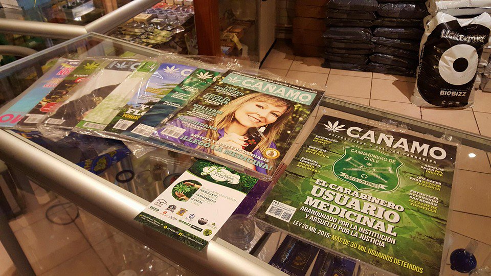 Ven por tus <a href="/revistacanamo/">Revista Cáñamo</a> números antiguos y pronto el de este mes!
#GrowGarden #TemucoCultiva #ChileCultiva