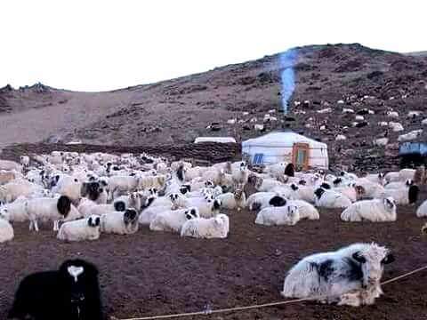 Аргалын утаа боргилсон
Малчны гэрт төрсөөн бид.
Үнэхээр сайхан. . .мэдрэмж