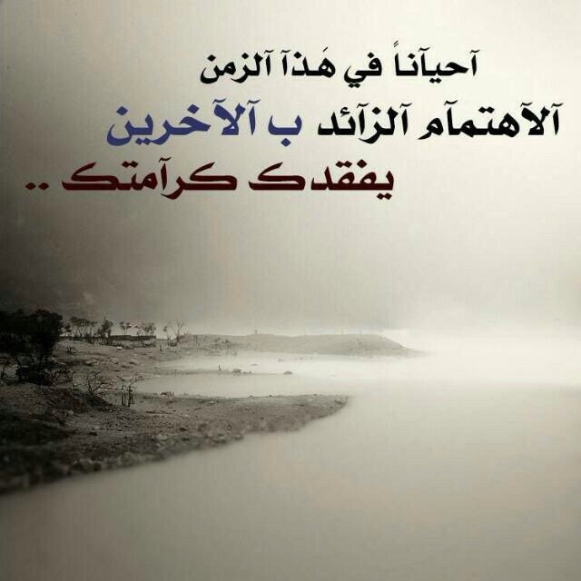 FDszo tweet picture