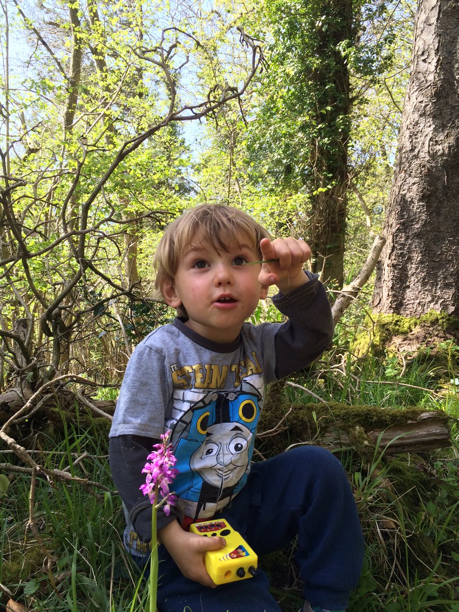 Fab day with Dilger Jnr <a href="/avonwt/">Avon Wildlife Trust</a> Folly Farm, obviously chuffed with his first early purple orchid <a href="/WildaboutPlants/">Plantlife</a>