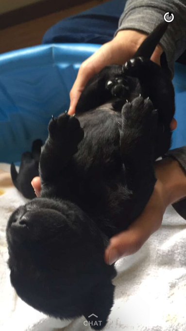 I'm jealous of @itsadairr I WANT PUPPIES https://t.co/bHwWHI0eIF<a class="tags" target="_blank" title="On Twitter" href="/?out=eyJ0eXAiOiJKV1QiLCJhbGciOiJIUzUxMiJ9.eyJpYXQiOjE3MjA3OTI4ODQsImlzcyI6InR3cG9ybnN0YXJzLmNvbSIsIm5iZiI6MTcyMDc5Mjg4NCwiZXhwIjoxNzUyMzI4ODg0LCJyZWRpcmVjdF91cmwiOiJodHRwczovL3R3aXR0ZXIuY29tL2l0c2FkYWlyciJ9.IKh7nN6LinwRLqqGru8rjgOyR0JnU7vDL8fYzpyH5ndqbLCPh5t82bhluzbadIBvHvgCvVoyHmrU0wgV0sPqnA">@itsadairr</a>