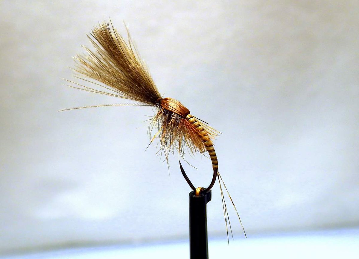 GLFlyFishing's tweet photo. With the @MonnowRivers weekend just 2 sleeps away, I've realised my fly boxes need a little TLC @Partridge_Hooks https://t.co/MRPbnvqUS7