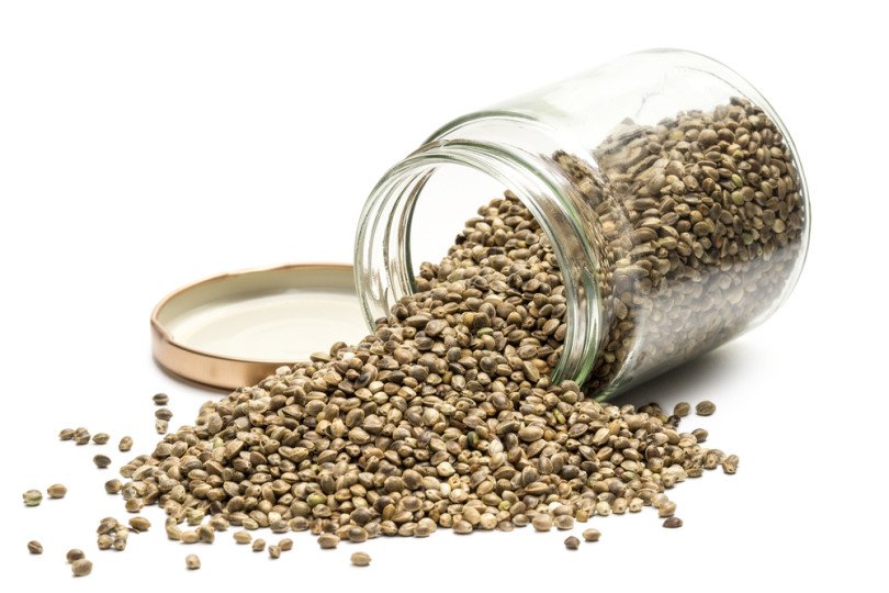DrStevenLin's tweet photo. Hemp seeds are packed with protein as well as essential omega3 fatty acids #food #nutrition https://t.co/4GnqfAShks https://t.co/CXMI5CO6WL