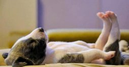 It is Hump Day and it is almost over with!