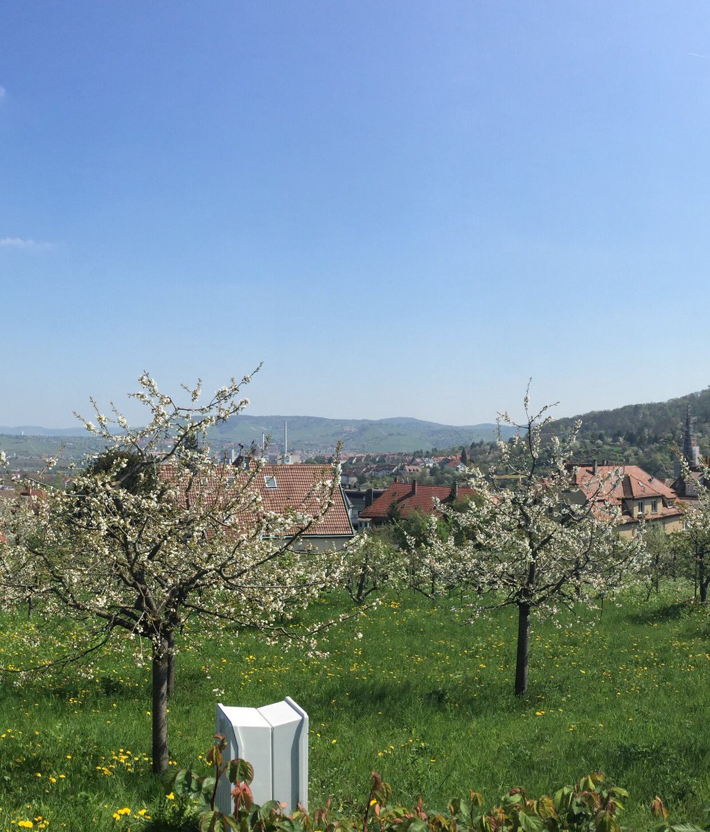 Spring n spring still cold