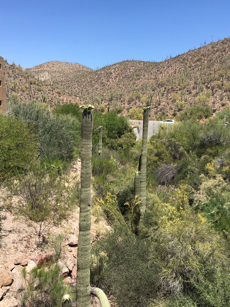 mignonnehollis's tweet image. It&apos;s a beautiful day at #aaedspringconference